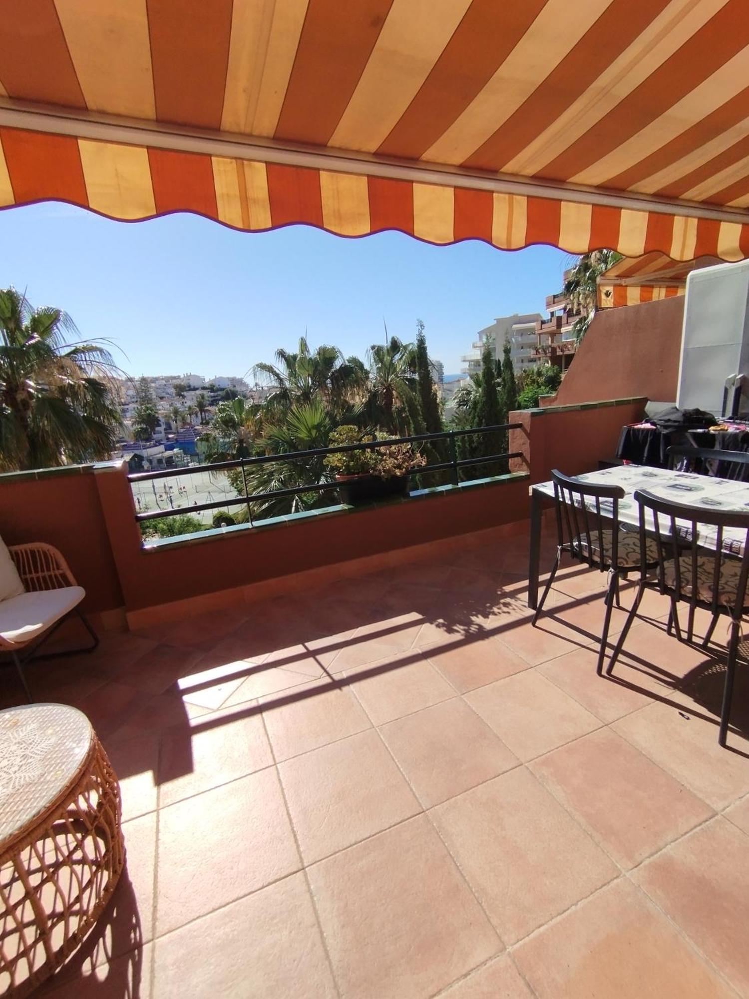 Palm Apartment
